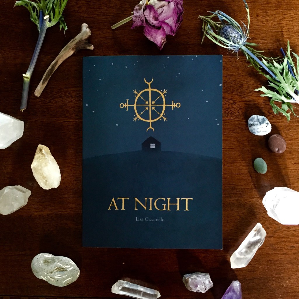 The Light Isn’t Coming Back: A Review of At Night by Lisa&nbsp;Ciccarello