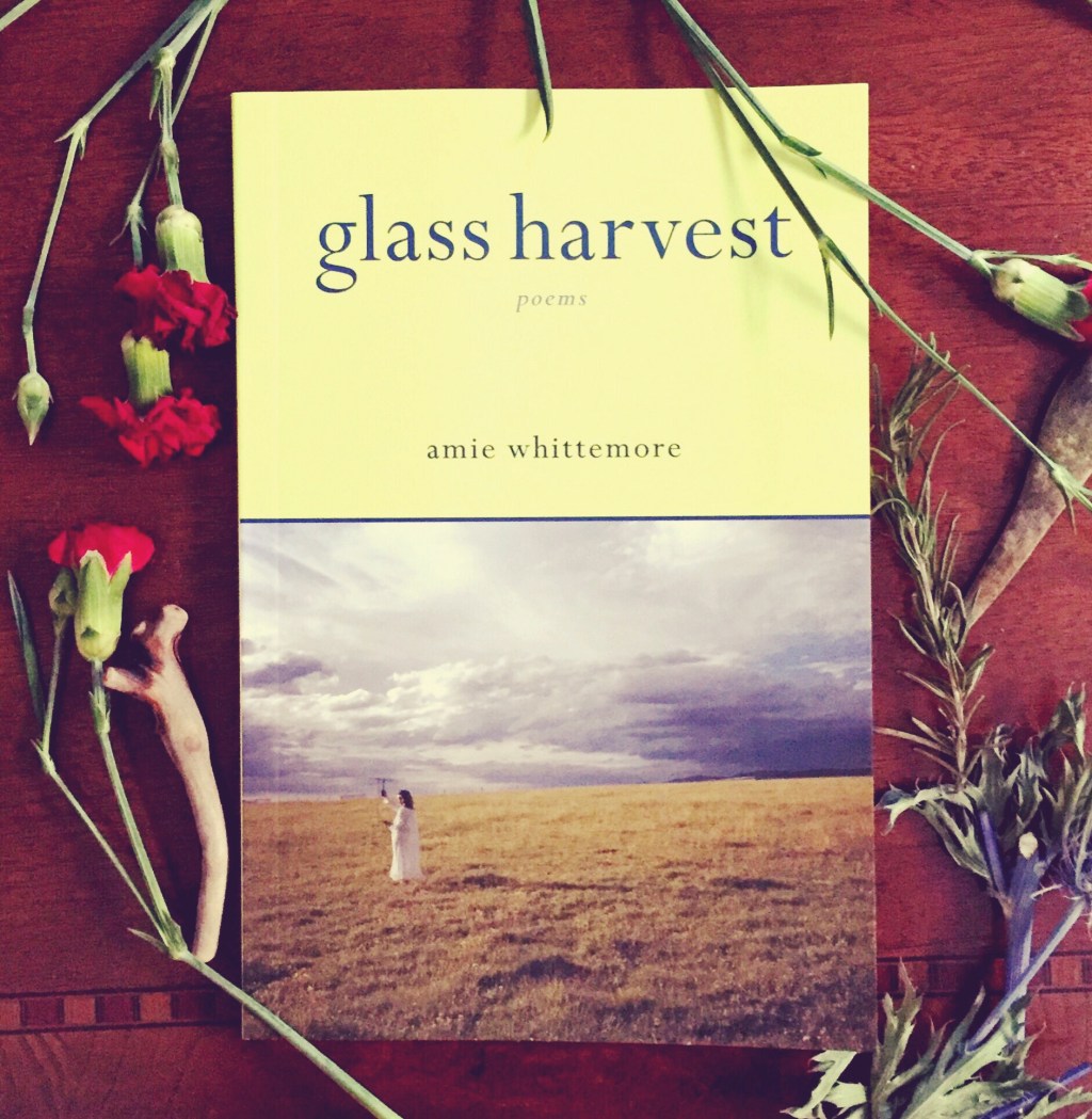 What You Love Will Haunt You: A Review of Amie Whittemore’s Glass&nbsp;Harvest