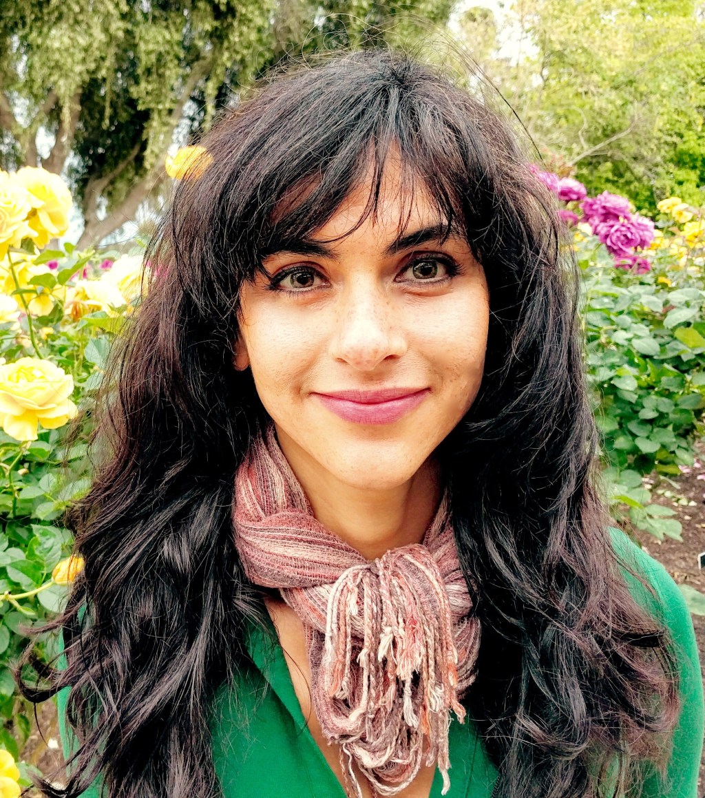 “It Sounds Fantastical, But We Lived It”: An Interview with Novelist Ari&nbsp;Honarvar